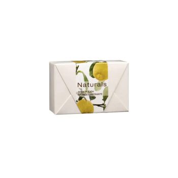 Naturals cipőtisztító szivacs (NAT016ACSPS)